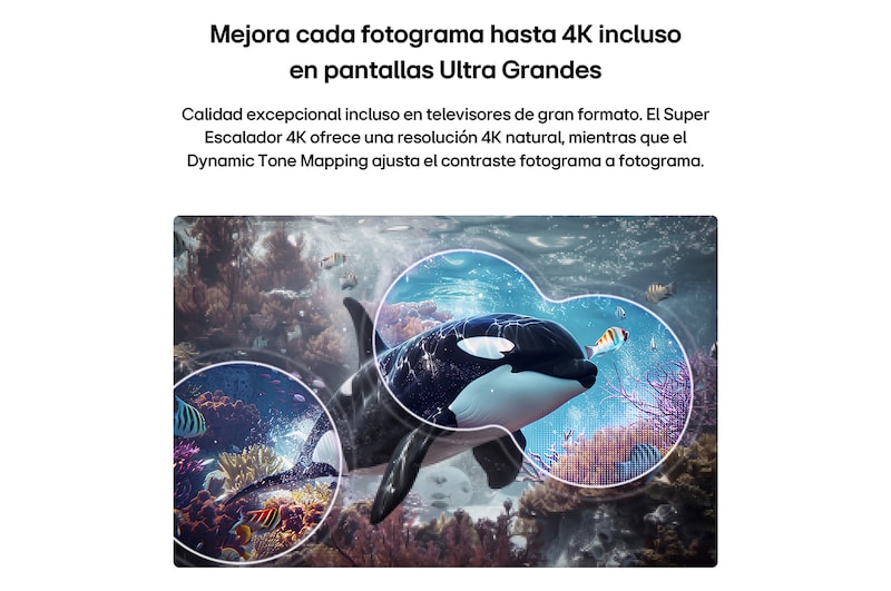 LG QNED evo AI QNED74 Mini LED with 4K Super Upscaling and Dynamic Tone Mapping shows an underwater scene of an orca swimming, as AI recognizes and upscales every frame to 4K resolution.